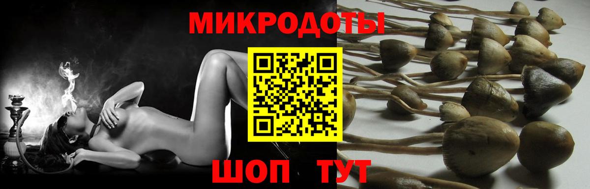 Псилоцибиновые грибы мицелий  Вход с VPN  Коломна 